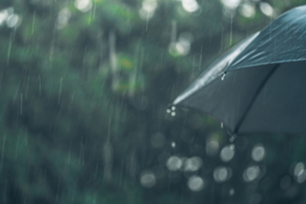 Personal Umbrella Insurance