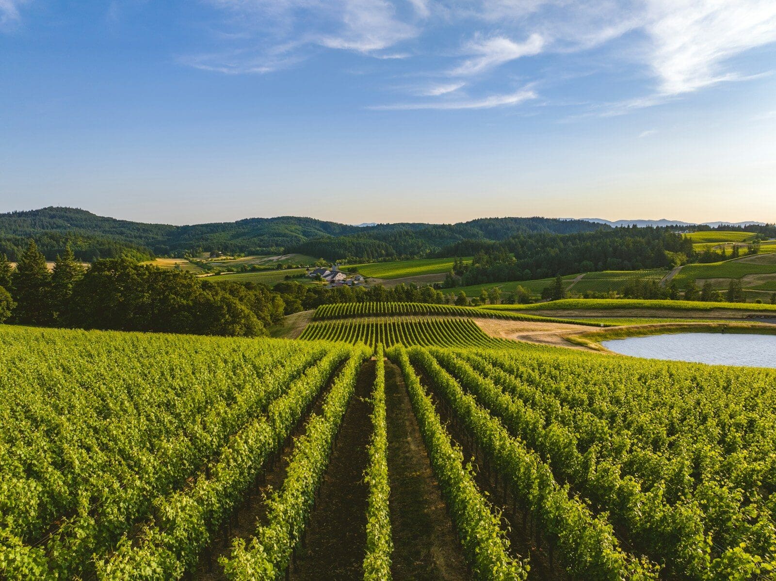 Does Your Farm Need Its Own Insurance Policy? A Guide for Central Valley Growers